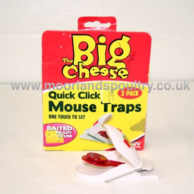 Big Cheese Mouse Trap