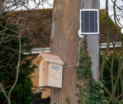 WiFi Battery Bird Box Camera with Solar Panel