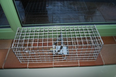 Fenn Mk4 Rat Squirrel Trap & Tunnel