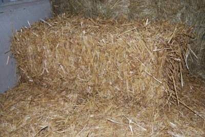 Straw Bale