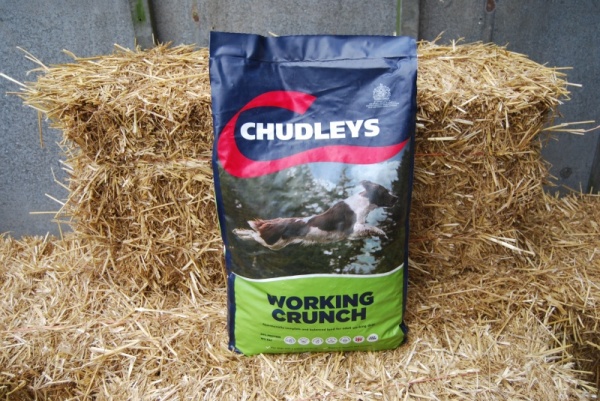 Chudleys working best sale crunch