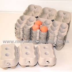 Cardboard Pre-pack Egg Cartons