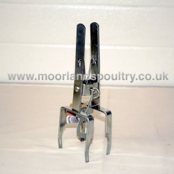 Mole Trap