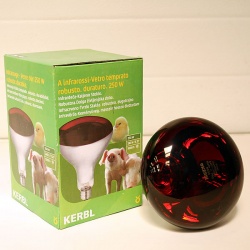 Infra Red Bulb 250 watt
