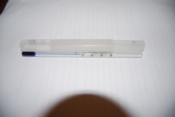 Brinsea Thermometer