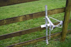 Sheep / Goat / Calf Headstock Galvanised