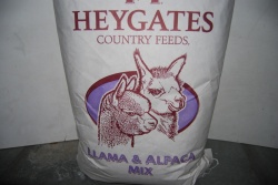Heygates Llama & Alpaca Mix