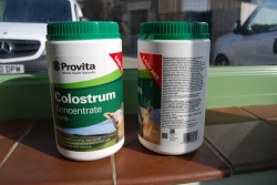 PROVITA LAMB COLOSTRUM - 500 GM