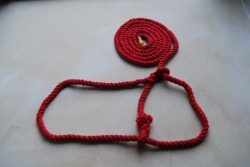 8mm Red Cotton Rope Halter